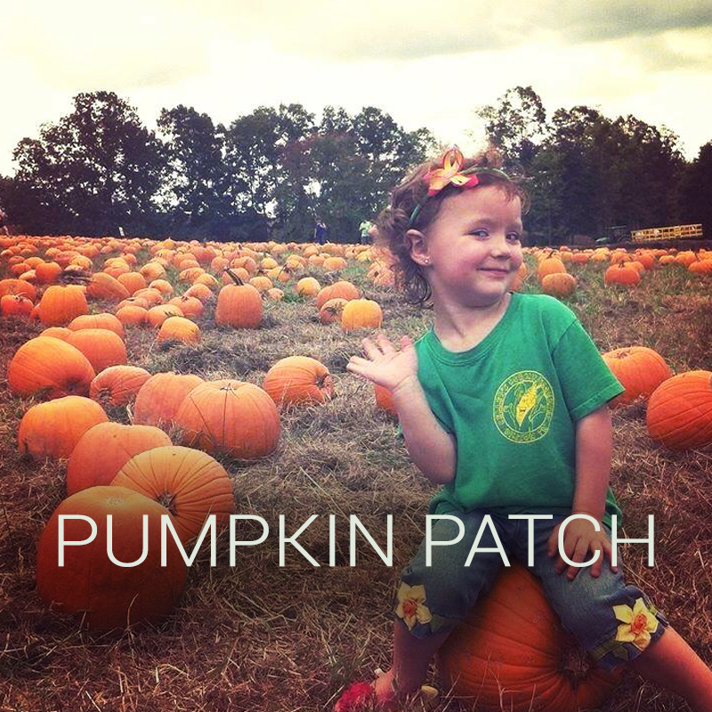kcc-pumpkin-patch